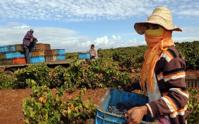 Marokko pakt watercrisis aan met strikte maatregelen
