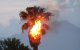 Grote brand in oase in Marokkaanse Guelmim