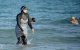 Burkini voor alle beurzen in Casablanca