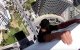 Khalid Tenni « vliegt » over daken Tanger (video)