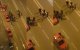 Bestuurster taxideelbedrijf in Casablanca door taxichauffeurs mishandeld (video)