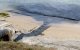 Bezorgdheid om vervuiling strand Mohammedia (video)