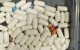 Spaanse vrouw in Marokko opgepakt met 63 bolletjes cocaïne in maag