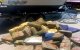 Spaanse politie onderschept ton drugs op jacht uit Marokko (video)