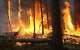 Marokko: 2414 hectare bos door brand vernield in 2017