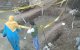 Marokko: meisjes verdronken in septic tank