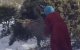 Sneeuw in Al Hoceima: Fatima loopt dagelijks meerdere kilometers voor brandhout (video)