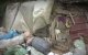 Vrouw leeft met kinderen in hondenhok in Casablanca (video)