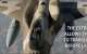Eerste beelden militaire oefening African Lion 2018 in Marokko (video)