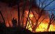 Tanger: 42 hectare bos verwoest door aangestoken branden