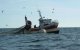 Spanje: vermiste Marokkaanse vissers na zes dagen op zee teruggevonden