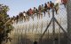 Frankrijk wil Marokko helpen grenzen beveiligen