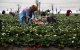 Spanje werft 20.000 Marokkaanse seizoenarbeidsters aan