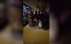 Schande: Agadir brengt sub-Sahara migranten naar kampen buiten stad (video)