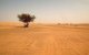 Sahrawi uit Tindouf sterft van dorst onderweg naar Marokko