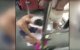Marokko: twee maanden celstraf voor bad in bus (video)