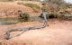 Marokko: leraar en leerling in Tetouan door slang gebeten