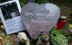 Marokkaanse die dode baby in Amsterdam achterliet vrijgesproken