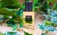 Yves Saint Laurent vindt inspiratie in Marokko voor nieuw parfum