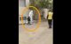 Coronavirus: moed Marokkaans kind baart opzien (video)