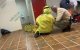 In Melilla gestrande Marokkaanse vrouw (34) dood aangetroffen
