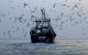 Chinese vissersboten in Marokkaanse wateren