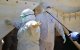 Marokko werkt mee aan vaccin tegen coronavirus