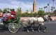 Marrakesh in race voor beste vakantiebestemming 2020