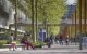 Universiteiten Nederland: discriminatie neemt sterk toe