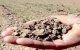 Landbouw: droogte kost 1,53 miljard dirham aan de Staat 