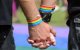 Minister Ramid vindt homohuwelijk onaanvaardbaar