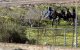 Spanje steekt 2 miljoen in hekken rond Sebta en Melilla