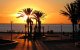 Palmbomen op zeedijk Agadir bedreigd