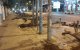 Casablanca: bomenkap zorgt voor verontwaardiging