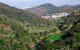 Machtige man in Tetouan kaapt bos en verkoopt het grond