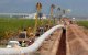 Bos in Tanger gekapt voor windenergieproject