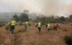 Honderden gezinnen geëvacueerd door bosbranden in Marokko