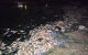 Zeldzaam fenomeen op strand Chefchaouen 