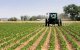 Landbouw: Israël wil betere samenwerking met Marokko
