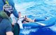 Meerdere Marokkanen op zee gered in Algeciras