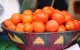 Tomaten in Europa: Marokko in opkomst, Spanje zakt weg