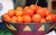 Tomaten in Europa: Marokko in opkomst, Spanje zakt weg
