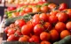 Marokkaanse tomaat: de nieuwe nachtmerrie van Europese producenten