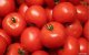 Russen mijden Marokkaanse tomaten