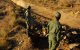 Spaanse experts: risico op gewapend conflict Marokko-Algerije in 2022 