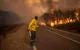 Marokko: droogte en hitte zijn explosieve cocktail voor bosbranden