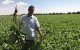 Marokko: ontziltingsinstallaties om landbouw te redden
