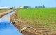 Landbouw: AfDB verleent Marokko lening van 1,2 miljard dirham