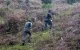 Malafide militairen gearresteerd in Nador