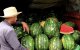 Marokko: watermeloenen opgeofferd om water te besparen?
